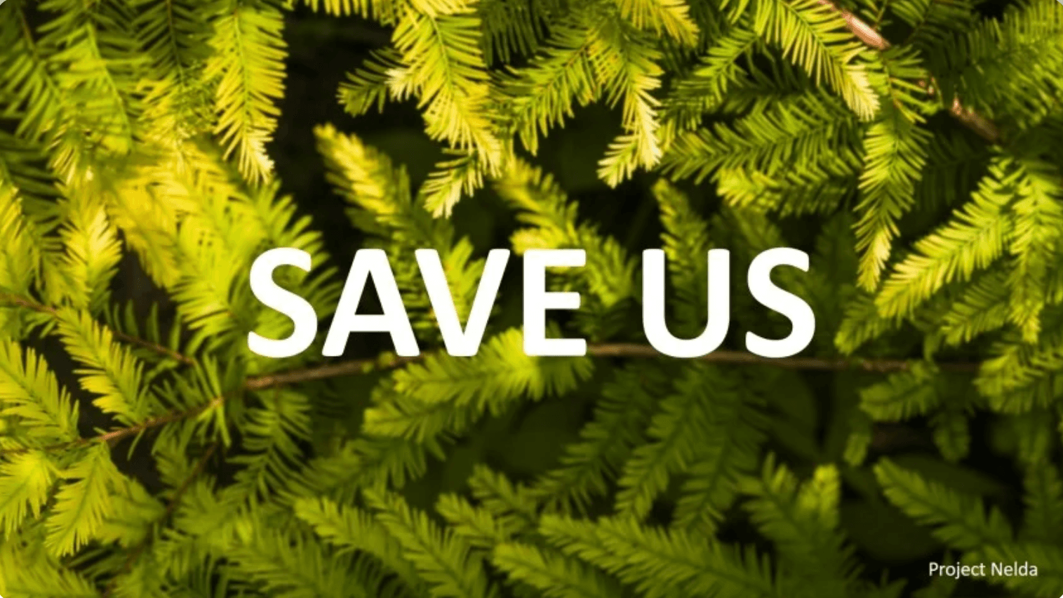 Listing Out Extinct/Endangered Native Trees Database