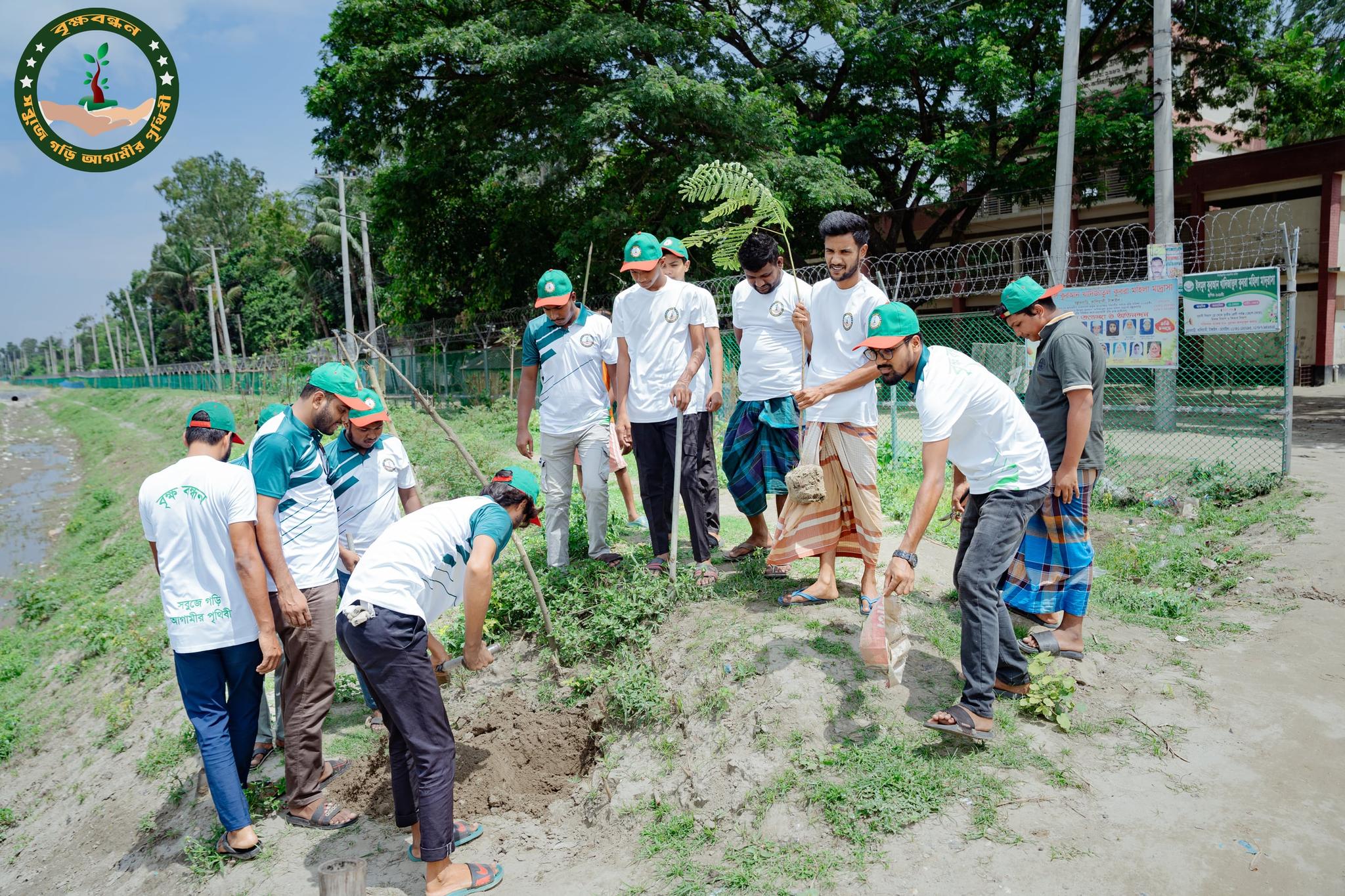 Tree Planting on Both Sides of Saratail Tower Road